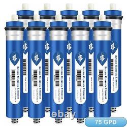 75 GPD Reverse Osmosis Home RO Membrane Water Filter Replacement for Simpure T1