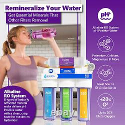 Alkaline Reverse Osmosis Water Filtration System Clear RO with Gauge 100GPD