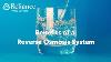 Benefits Of A Reverse Osmosis Water Purification System